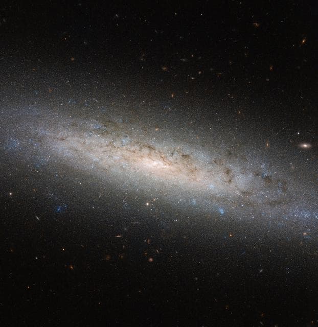 NASA image: The hidden dark side of NGC 24