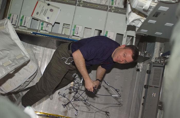 NASA image: Kelly sorts bungee cords and hooks