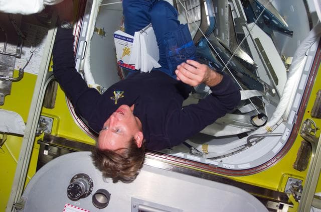 NASA image: MS Gernhardt  in Quest airlock