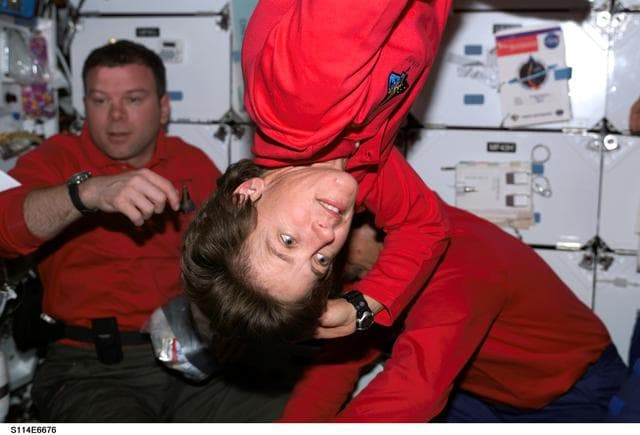 NASA image: STS-114 crew on middeck
