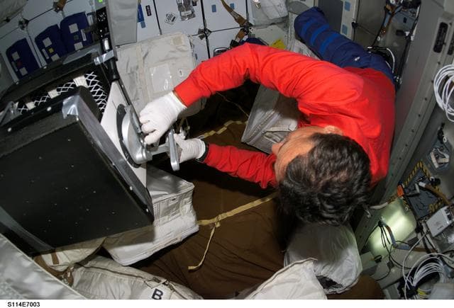 NASA image: Camarada on middeck