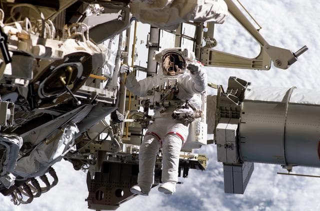 NASA image: STS-115 MS Burbank prepares the SARJ on the P3 - P4 Truss Segment during EVA