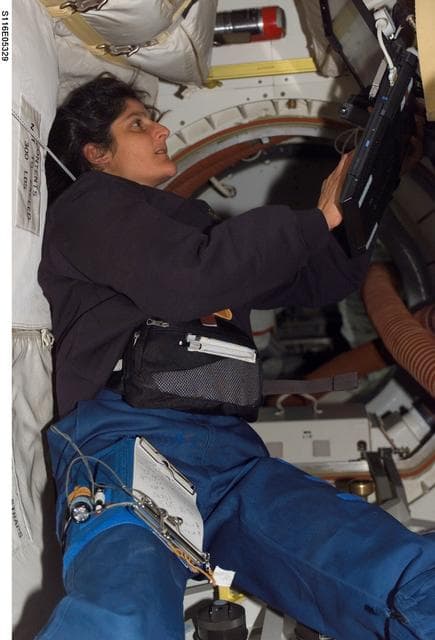 NASA image: STS-116 MS Williams works on laptop computer in the MDDK on Space Shuttle Discovery