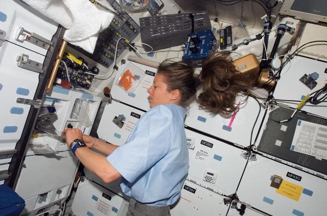 NASA image: View of Caldwell in the MDDK of the Shuttle Endeavour during STS-118