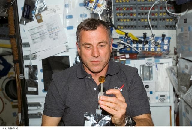 NASA image: View of Williams on the MDDK during STS-118/Expedition 15 Joint Operations