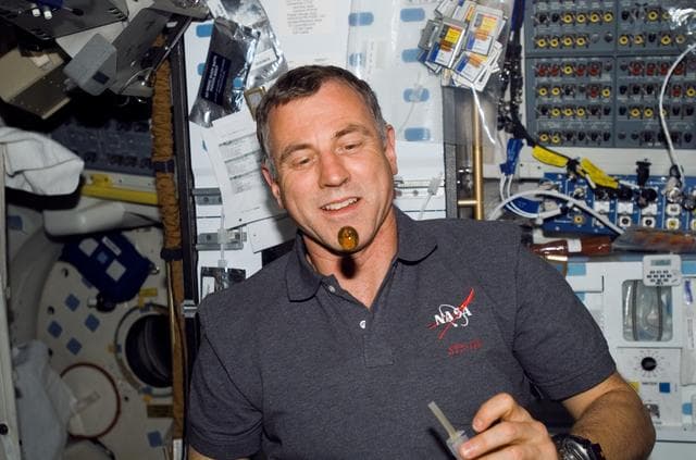 NASA image: View of Williams on the MDDK during STS-118/Expedition 15 Joint Operations