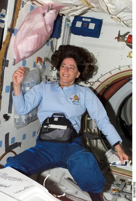 NASA image: View of STS-118 MS Morgan in the MDDK