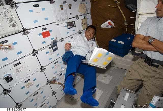NASA image: Wakata on Middeck (MDDK)