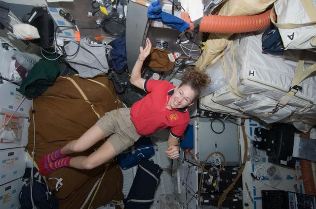 NASA image: Magnus poses on Middeck (MDDK)
