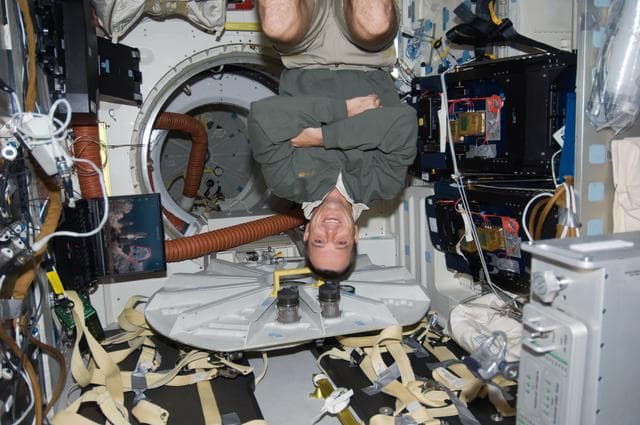 NASA image: Arnold poses on Middeck (MDDK)