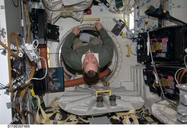 NASA image: Arnold poses on Middeck (MDDK)