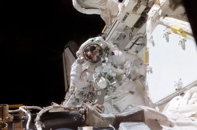 NASA image: EVA 1 - Parazynski in Discovery payload bay
