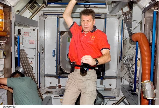 Nespoli in the Node 2 / Harmony module