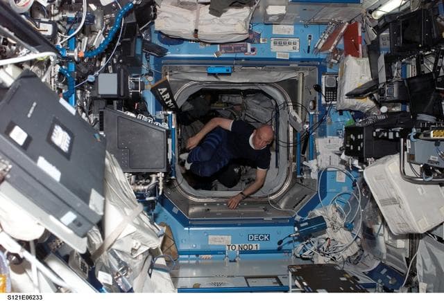 NASA image: Williams in the U.S. Lab during STS-121 / Expedition 13 joint operations