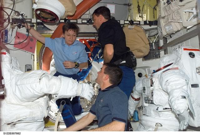 NASA image: Whitson, Walheim and Love in A/L