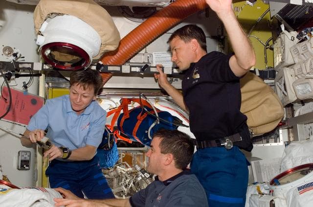 NASA image: Whitson,Walheim and Love in A/L