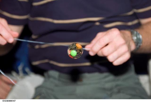 NASA image: Gorie watches water bubble in the MDDK during STS-123 / Expedition 16 Joint Operations