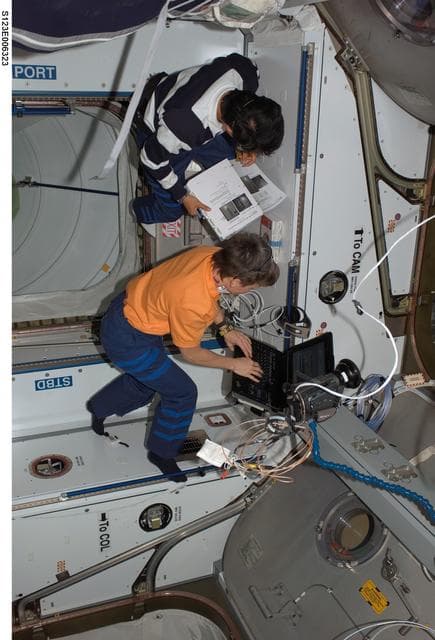 NASA image: Whitson and Doi work in the Node 2 during STS-123 / Expedition 16 Joint Operations