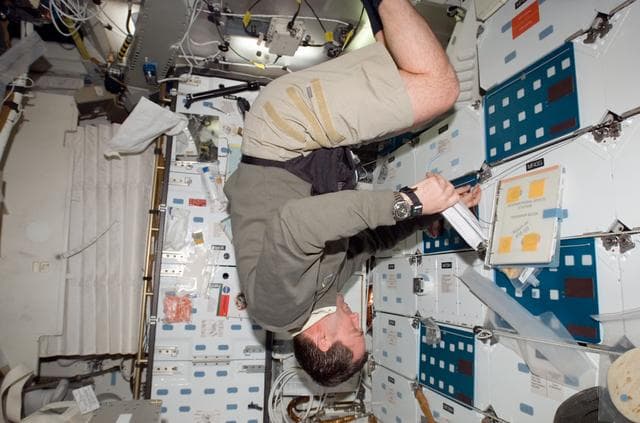 NASA image: Foreman looks at crew procedures in the aft Middeck (MDDK) during STS-123 / Expedition 16 Joint Operations