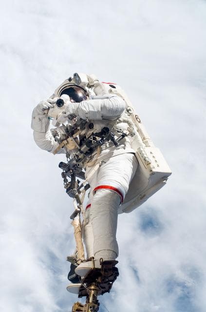 NASA image: Linnehan during EVA 3 - Expedition 16 / STS-123 Joint Operations