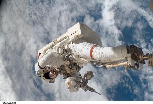 NASA image: Linnehan during EVA 3 - Expedition 16 / STS-123 Joint Operations