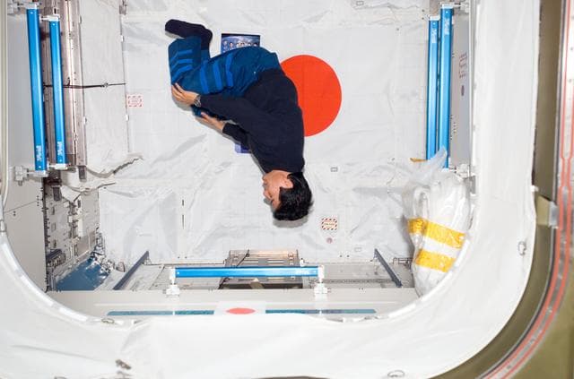 NASA image: Doi floats in the JLP during STS-123 / Expedition 16 Joint Operations
