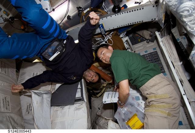 NASA image: Chamitoff and Hoshide on middeck