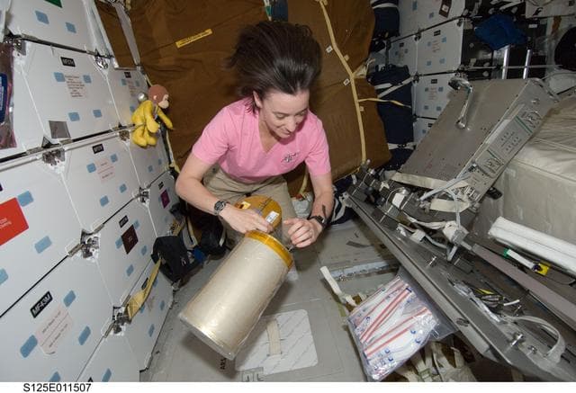 NASA image: STS-125 MS2 McArthur works with the LiOH Cannisters on the Middeck
