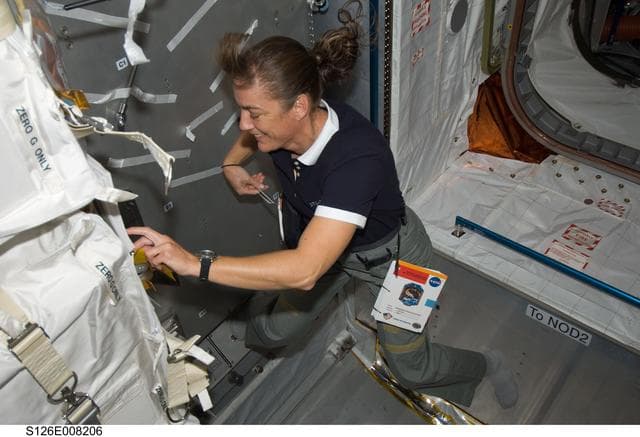 NASA image: Stefanyshyn-Piper in MPLM