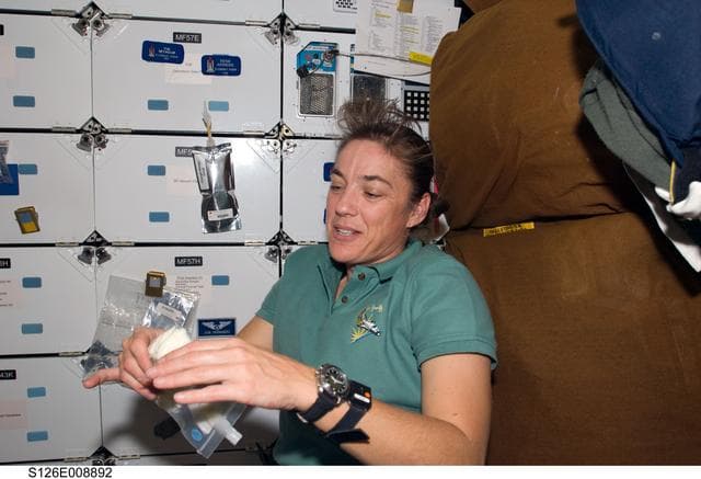 NASA image: Stefanyshyn-Piper on MDDK