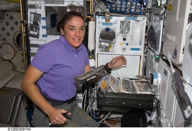 NASA image: Stefanyshyn-Piper on MDDK