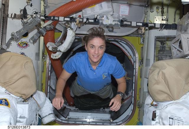 NASA image: Stefanyshyn-Piper in A/L