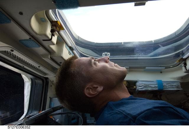 NASA image: Cassidy looks out window in the aft FD on the Space Shuttle Endeavour during the STS-127 Mission