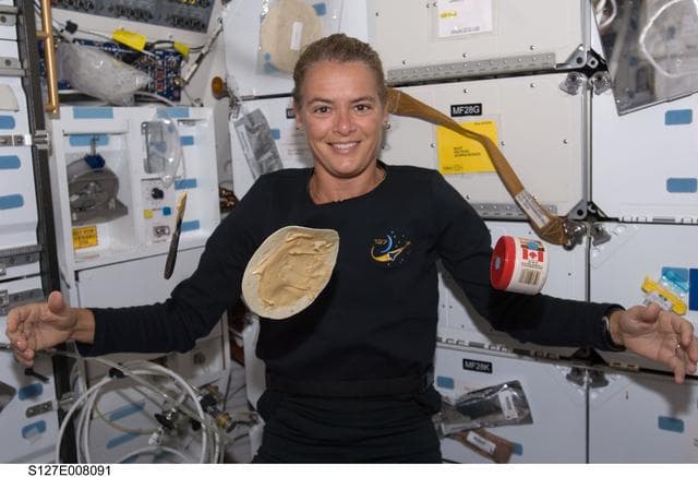 NASA image: Payette watches tortilla in the FWD MDDK during Joint Operations