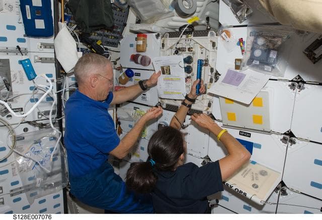 NASA image: Mice Drawer System (MDS) Transfer OPS