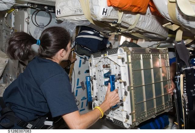 NASA image: Mice Drawer System (MDS) Transfer OPS