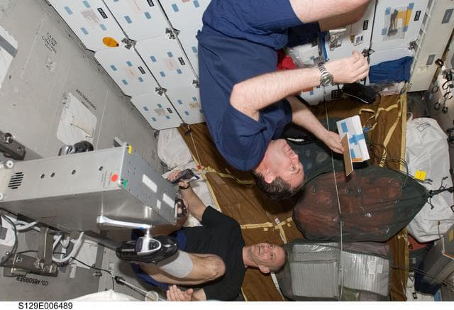 NASA image: STS-129 Crew Members on the Middeck