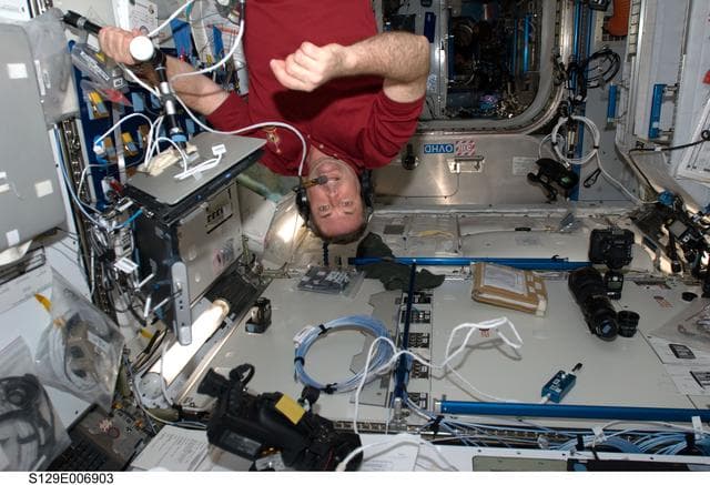NASA image: STS-129 MS3 Foreman working in the Node 2