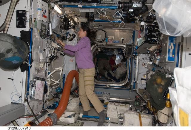 NASA image: View of Expedition 21/STS-129 Crew Members working in the Node 2 during Joint Operations
