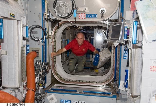 NASA image: View of Expedition 21 FE-5 Williams posing for a photo in the Node 2 during Joint Operations
