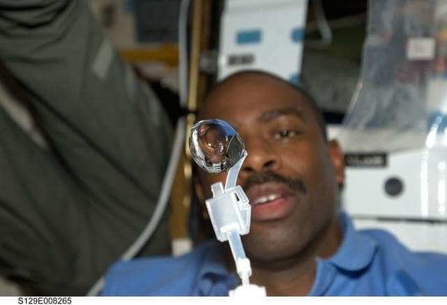 NASA image: STS-129 MS1 Melvin plays with water globules on the Middeck
