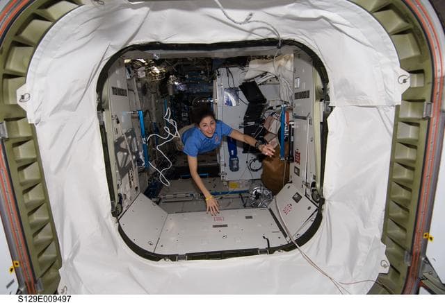 NASA image: View Expedition 21 FE-2 Stott posing for a photo in the US Lab