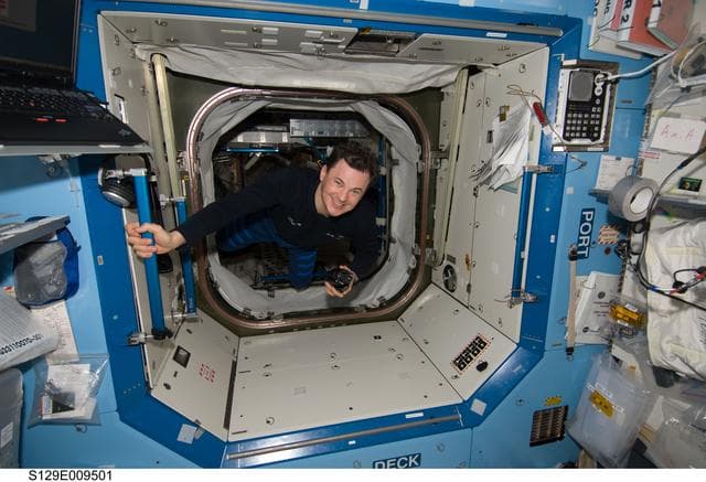 NASA image: View of Expedition 21 FE-3 Romanenko posing for a photo in the US Laboratory