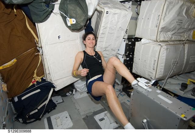NASA image: STS-129 MS Stott exersises on the Middeck