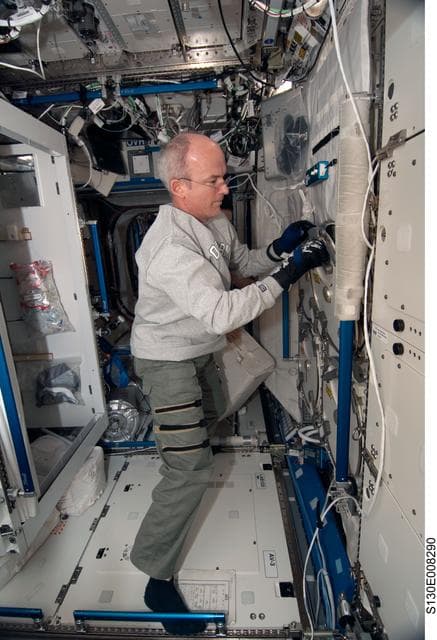 NASA image: Williams in US Lab