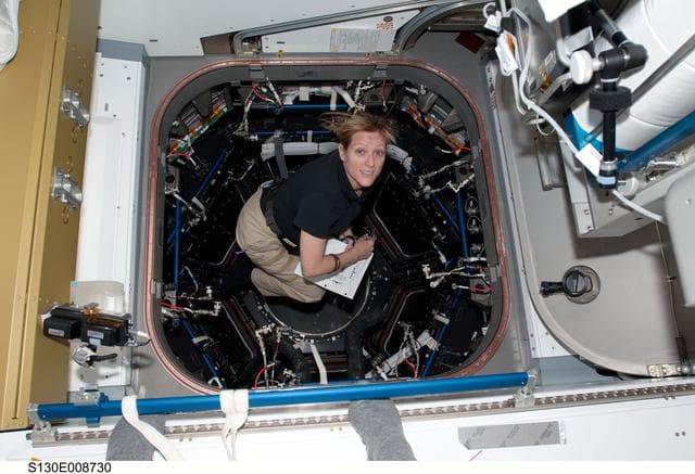 NASA image: Hire during Cupola Vestibule Outfitting