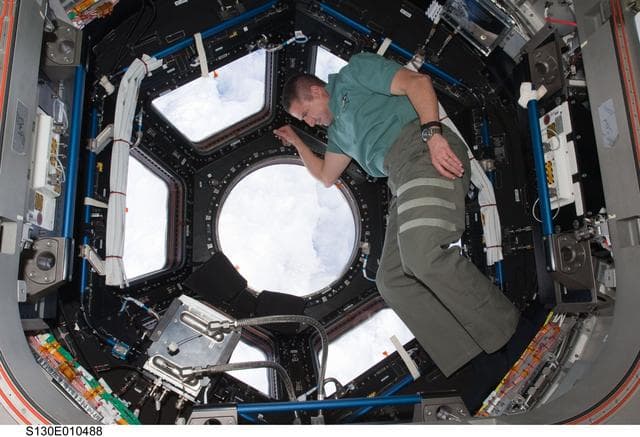 NASA image: Zamka in the Cupola