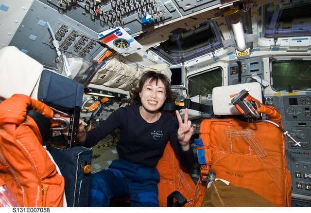 NASA image: Yamazaki on Flight Deck