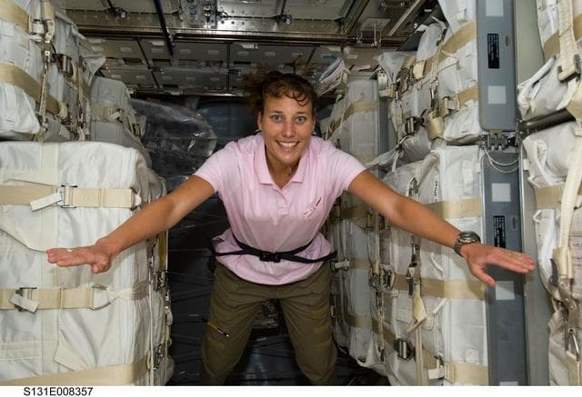 NASA image: Metcalf-Lindenburger in MPLM