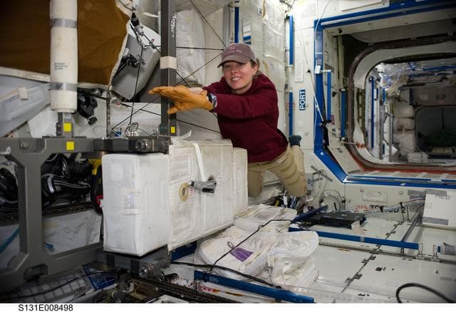 NASA image: Caldwell Dyson in US Laboratory